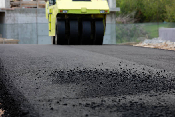 Best Professional Driveway Pavers  in Wenona, IL