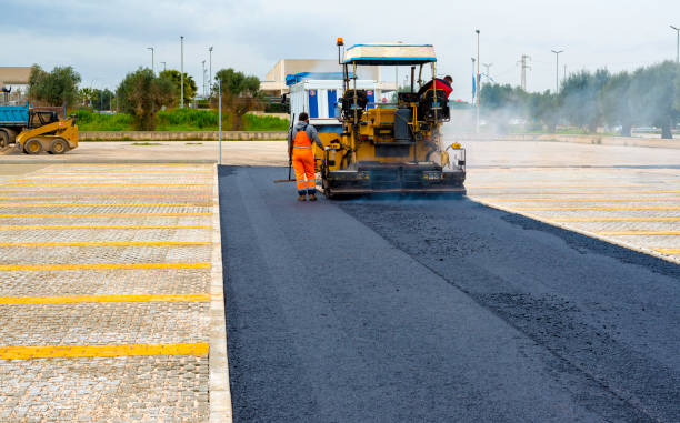 Best Custom Driveway Pavers  in Wenona, IL