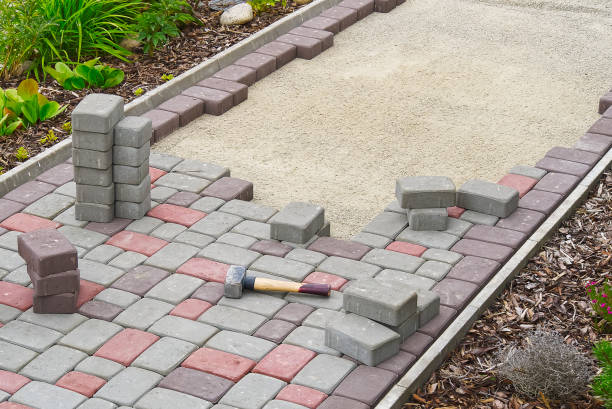 Best Driveway Paving Contractor  in Wenona, IL