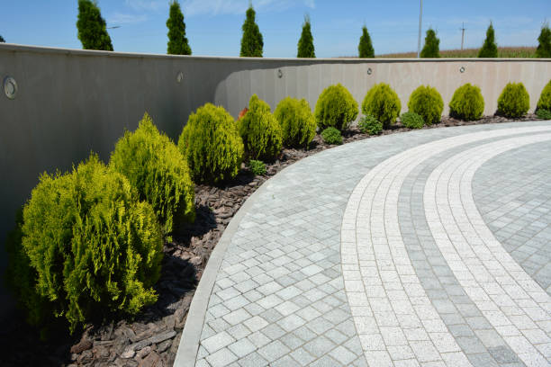 Best Driveway Paving Contractor  in Wenona, IL