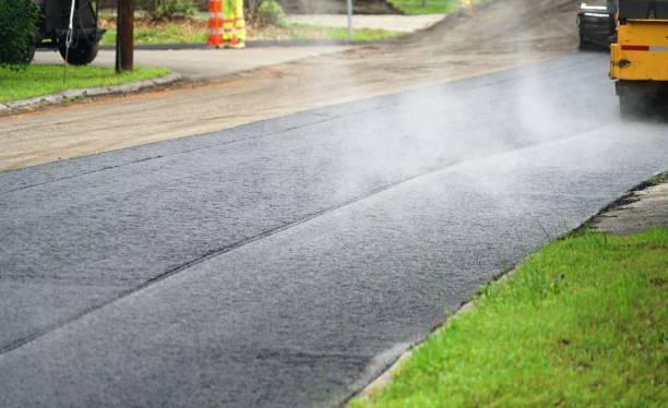 Best Best Driveway Pavers  in Wenona, IL